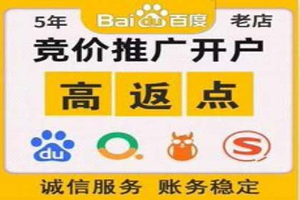 SEM外包公司案例：助力企业拓展海外市场